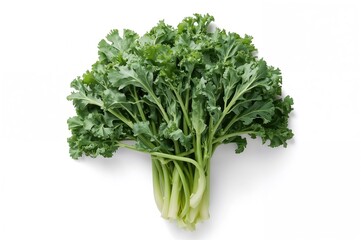 Cluster of fresh turnip greens, also known as cime di rapa, on a white backdrop