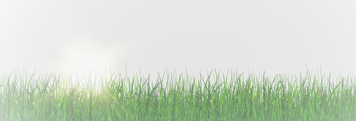 Fototapeta premium Grass, lawn, grass border isolated on transparent background, vector png. Realistic grass effect on a light background for your design. 