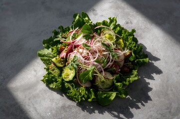 A serving of fresh vegetable salad featuring radish, cucumber, and greens on a neutral backdrop.