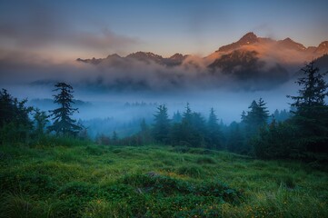 Misty mountain scenery with vibrant and imaginative natural surroundings