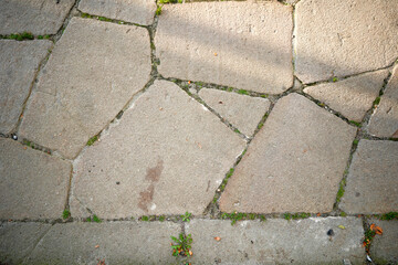 Sunlit stone pavement with moss