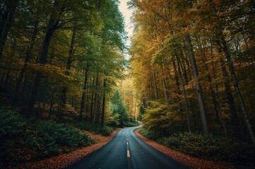 Obraz premium A street surrounded vertically by a forest with shifting colors