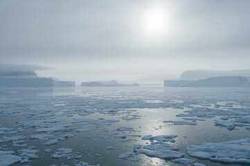 Winter landscape showcasing Arctic views