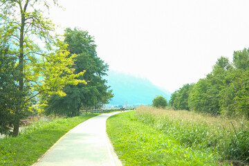 Path immersed in the countryside of Northern Italy in the Trentino region