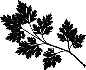 Cilantro Sprig Silhouette Illustration | Cilantro Herb Vector Artwork