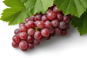 Fototapeta premium Close-up photo of a large cluster of red grapes with green leaves against a white backdrop