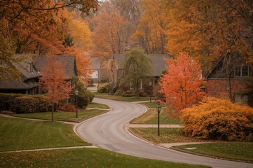 Obraz premium A suburban area featuring houses, a roadway, and vibrant autumn foliage with orange trees and greenery.