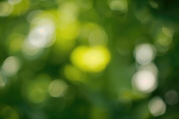 Blurred Green Nature Background with Bokeh Effect