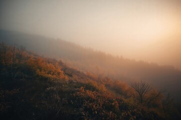 Obraz premium Quiet scenery shrouded in morning mist