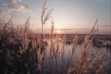 Digital oil painting of marshland reeds swaying gently in the wind, evoking autumn and natural wetlands