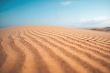 Fototapeta premium Close-up of sandy beach with isolated yellow waves and light brown dune textures