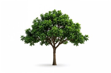 Obraz premium Collection of tropical green trees in side profile on a white backdrop for garden and landscape design, environmental elements