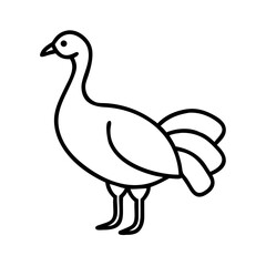 Outline drawing of a turkey for thanksgiving holiday coloring page animal vector illustration
