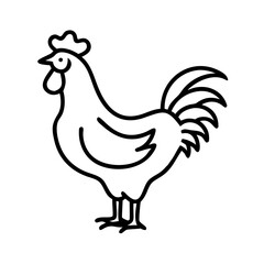 Isolated line art of a rooster vector drawing for farm animals and poultry illustration project