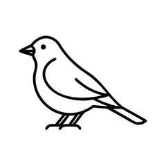 Bird illustration vector outline drawing of a small bird perched simple line art bird design icon black and white