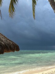 Tropical beach with palm trees at Isla Cozumel