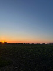 sunset over the field