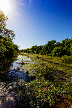 Kolb Ditch, Angel Mounds State Historic Site, Evansville, Indiana