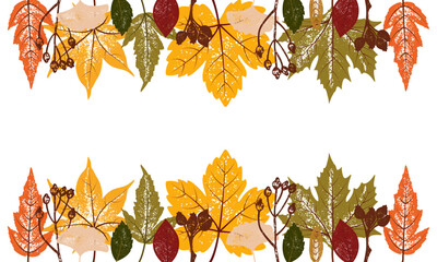 Frame, banner or background with beautiful colorful autumn leaves. Fall botanical flat vector illustration on white background for wallpapers, banners, flyers, invitations, posters