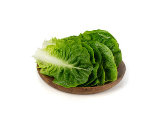 Romaine lettuce salad leaves isolated. Cos green leaves, fresh romain salat, raw romaine cabbage