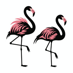 Standing Out Flamingo Silhouette