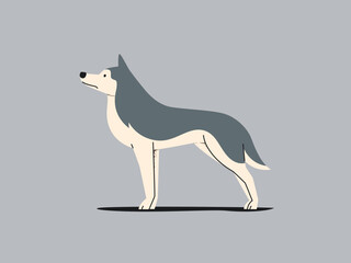 Obraz premium Illustration of a husky dog standing on a gray background.