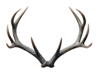 Decorative reindeer antlers