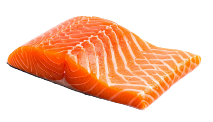 Fresh raw salmon fillet seafood omega-3 healthy eating