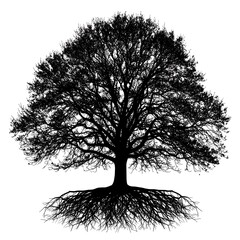 Silhouetted tree with deep roots
