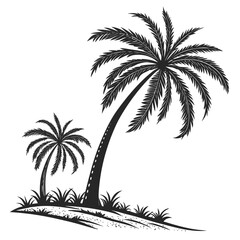 vector illustration of palm trees