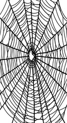 Obraz premium Black spiderweb detailed texture, intricate radial pattern, creating a dark, mysterious design, suitable for Halloween or gothic themes