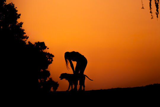 Chica paseando perro al atardecer 