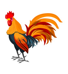 Colorful cartoon cock icon design