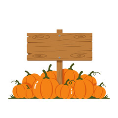 Autumn harvest pumpkins displayed behind a rustic wooden sign for seasonal decorations isolated on white background Vector Illustration