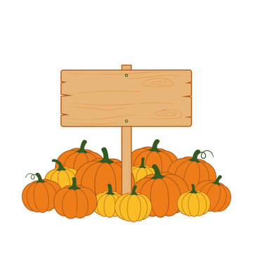 Harvest pumpkin patch scene with rustic wooden sign for fall season greetings and decorations isolated on white background Vector Illustration