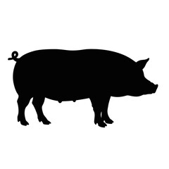 Silhouette of a domestic pig standing profile view farm animal graphic isolated on white background Vector Illustration