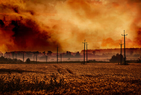 Wildfire in wheat field with smoke and power lines. Burning landscape with dramatic sky, danger, and environmental impact of rural fire disaster