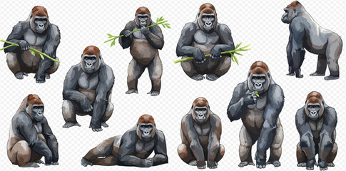 A collection of watercolor illustrations of gorillas in various poses, including sitting, standing, lying down, and eating bamboo, isolated on a transparent background. © studio