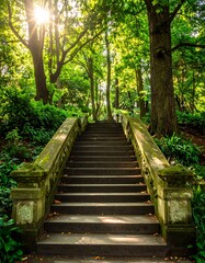 Forest Pathway Steps Sunlight.