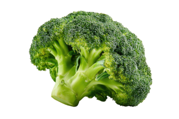 Close-up of fresh broccoli head