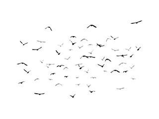 Flying birds silhouette flock. hand drawing. Not AI. Vector illustration.