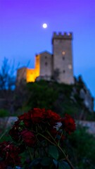 Twilight castle with red roses