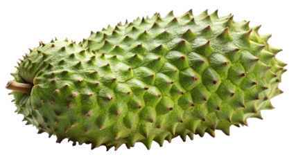 A large spiky green soursop fruit with a textured rind isolated on transparent background