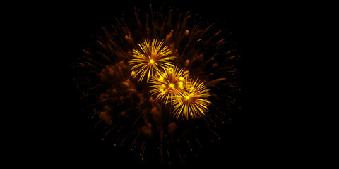 Golden fireworks paint the night sky celebrating a special occasion with bursts of light and a...