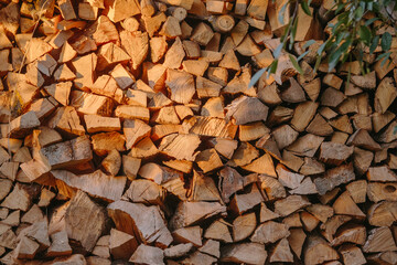 Stacked firewood log pile warming in autumn light