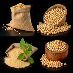 Collection of Soybeans in Different Forms and Textures for Culinary Use