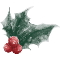 Christmas Holly Leaves and Red Berries PNG Set with Snow Effect
