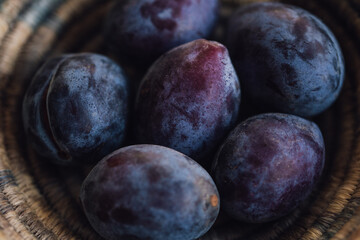 italian prunes, plums close up