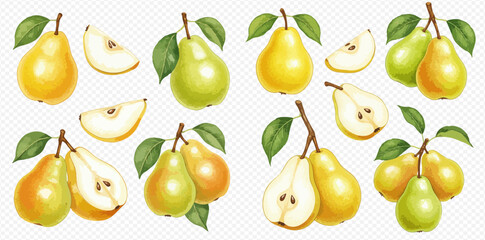 A collection of watercolor illustrations of ripe yellow and green pears, shown whole, sliced, and in pairs with leaves.