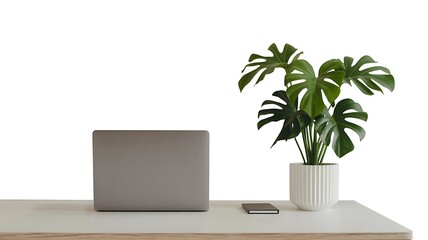 Fototapeta premium A modern laptop and a potted monstera plant sit on a clean white desk, isolated on white background